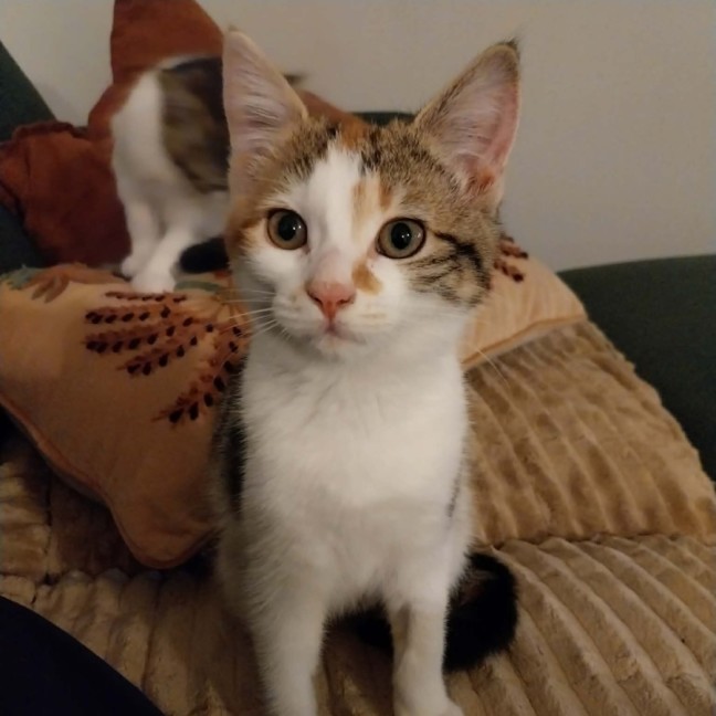 Photo of Lizzy