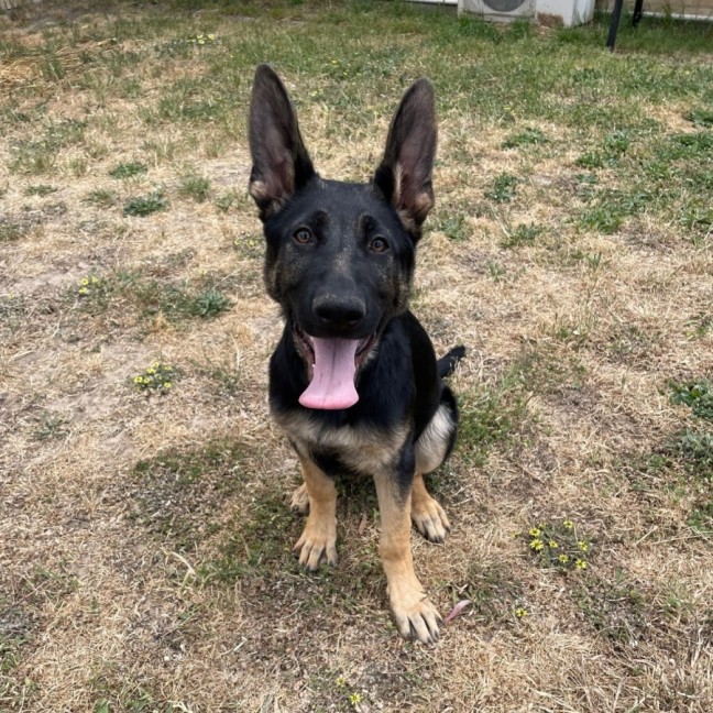 Photo of Duke
