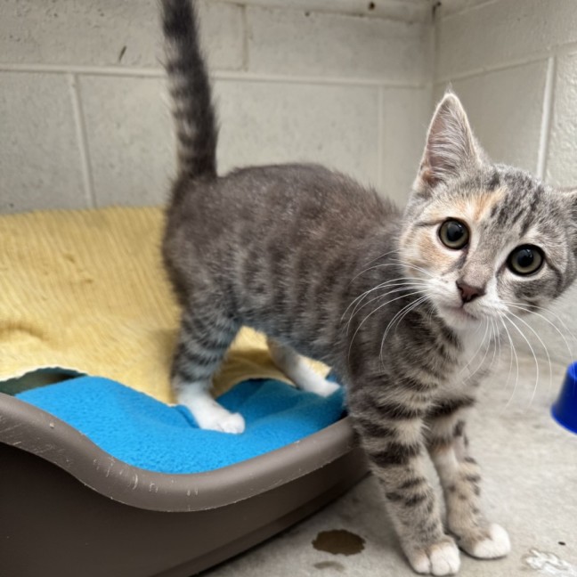 Photo of Sally