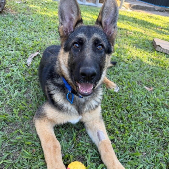 Photo of Grady