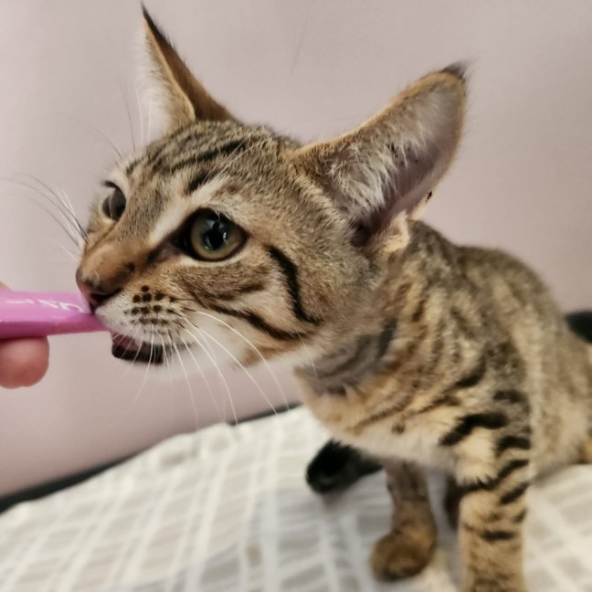 Photo of Andy   On Display @ Vets On Parker