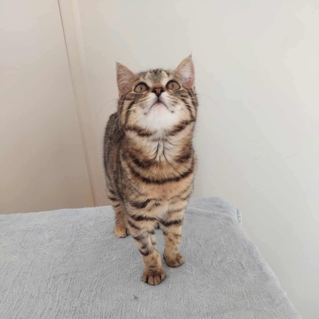 Photo of Willow 🌱