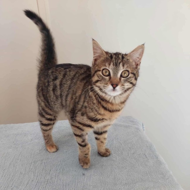 Photo of Willow 🌱