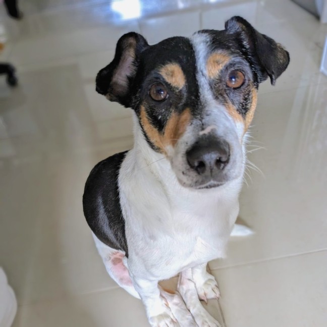 Photo of Giuseppe (Pep/Pepino/Pepe)