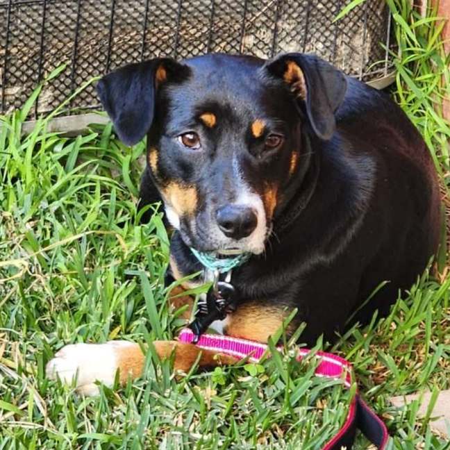 Photo of Cece