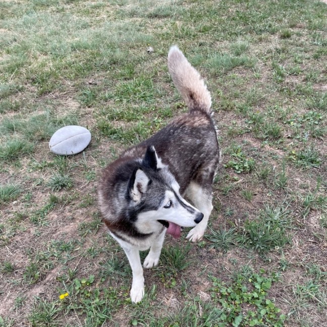 Photo of Dakota