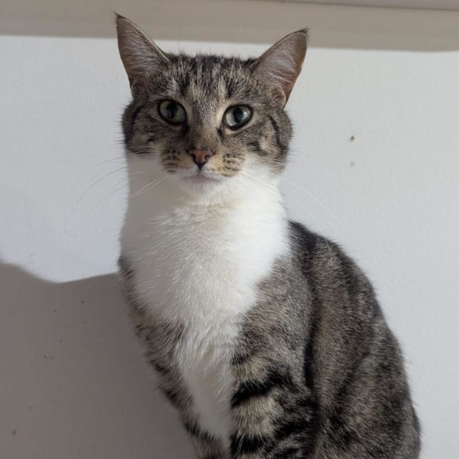 Photo of 🐭 Styx 🐭