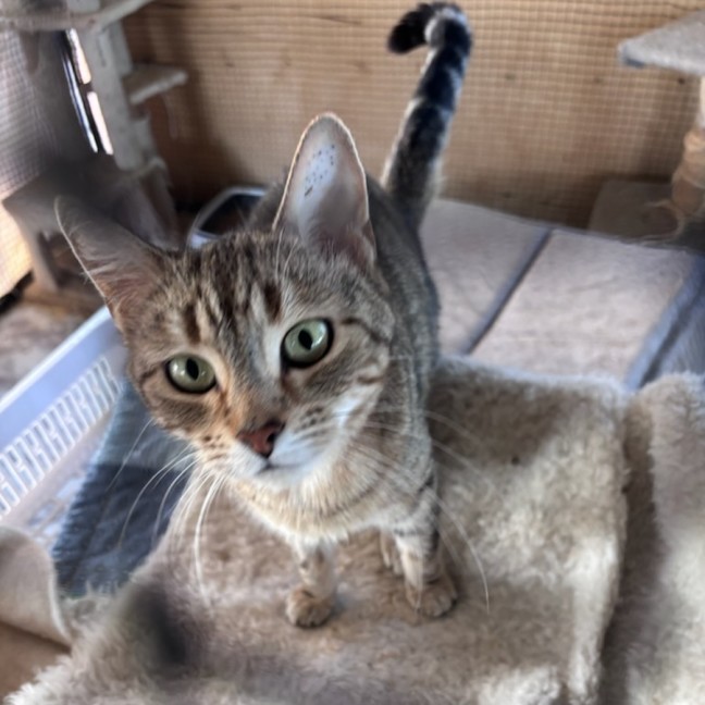 Photo of Lulu