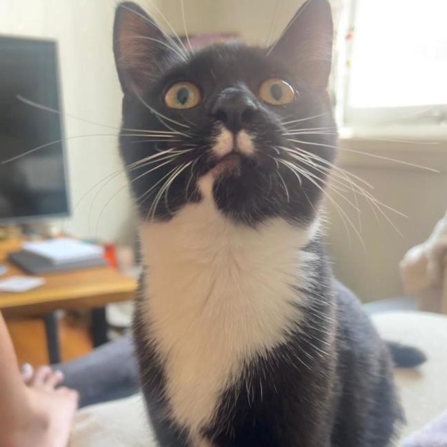 Photo of Zoe