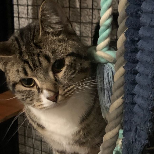 Photo of Sutton   Best Buds With Kevin   Check His Profile