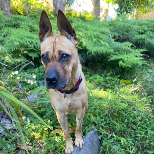 Photo of Narla