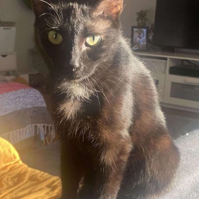 Photo of Princess