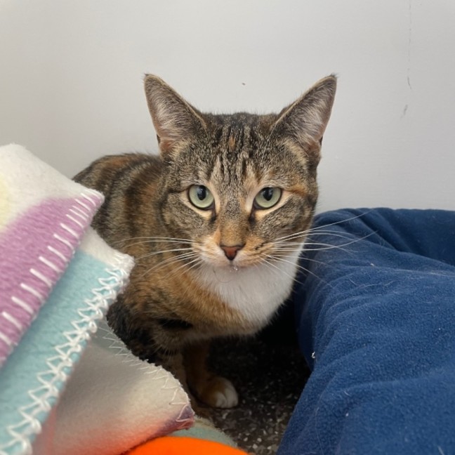 Photo of Fox And Scully