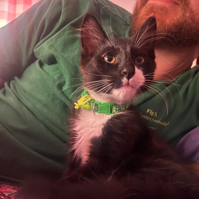 Photo of Dennis & Dot 