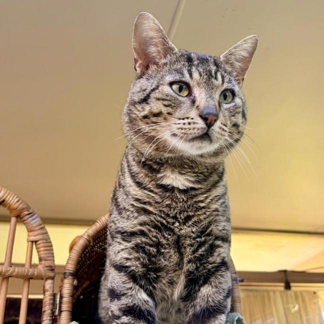 Photo of Teddy