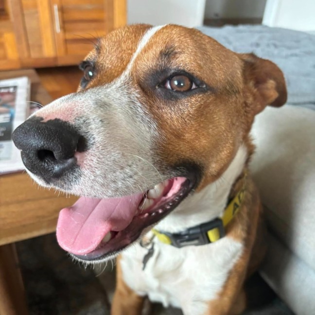 Photo of Walter