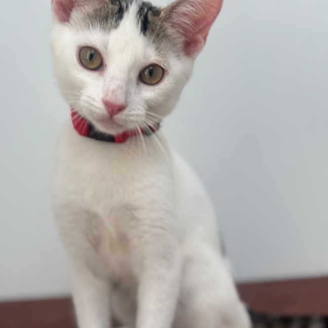 Photo of Verity & Solace