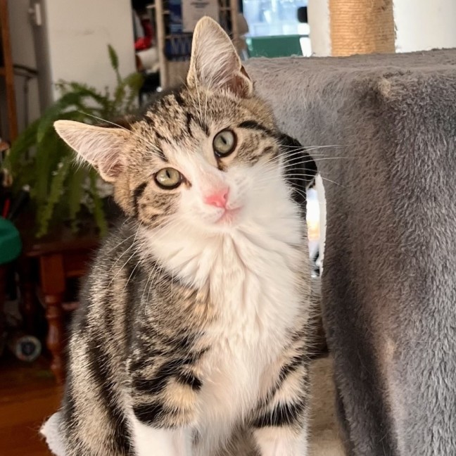 Photo of Tobias