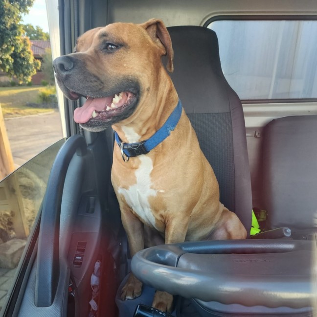 Photo of Murphy