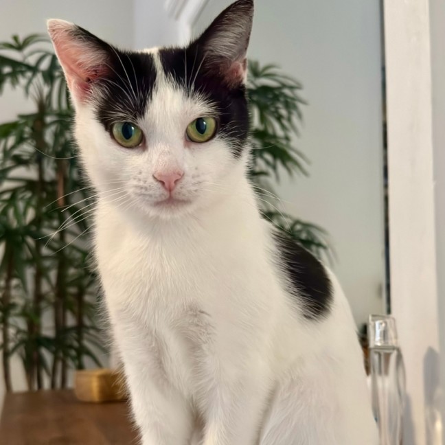 Photo of Ariana Grande