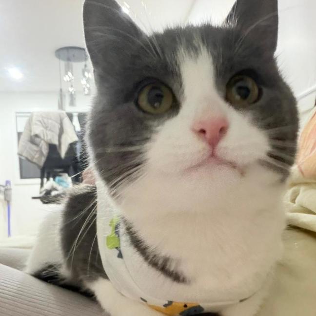 Photo of Penelope