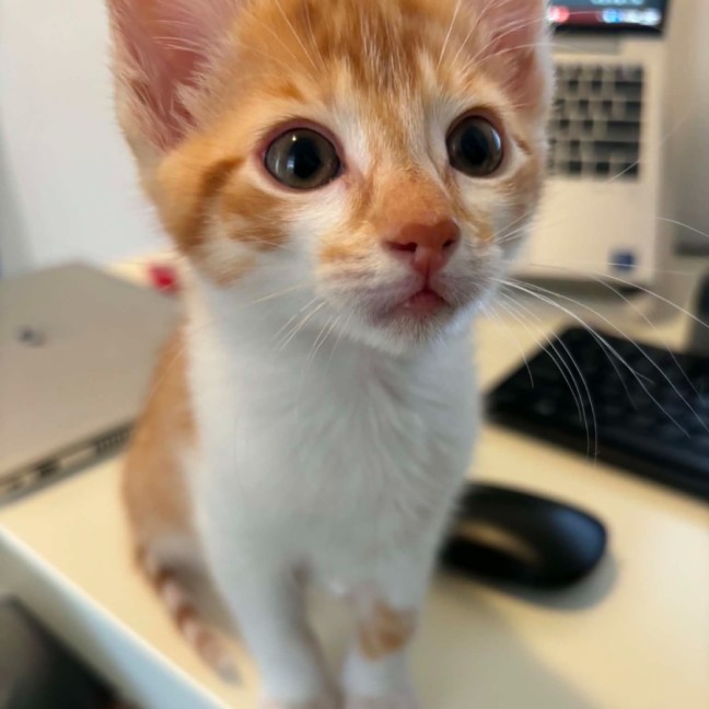 Photo of Monty
