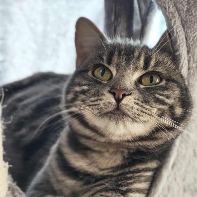 Photo of Ava   In Foster Care In Melbourne