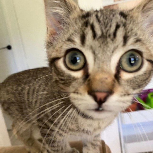 Photo of Calvin