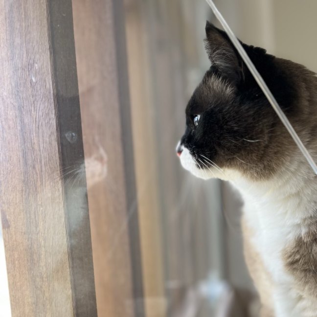 Photo of Tom