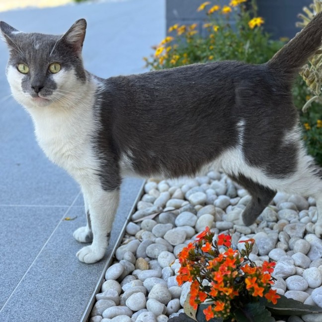 Photo of Bobby