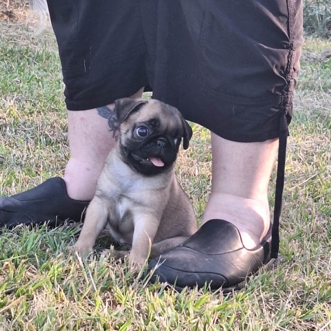 Photo of Belle