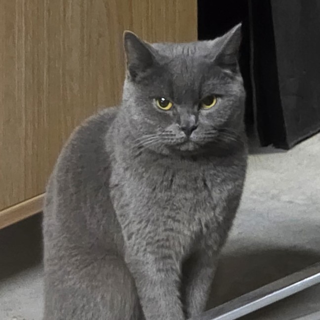 Photo of Miaowzzee
