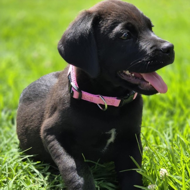 Photo of Sansa