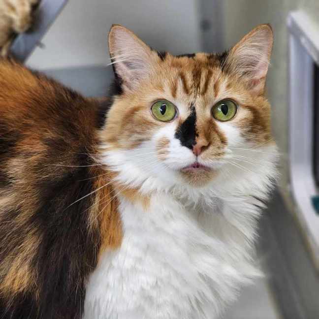 Photo of 🥂 Clicquot 5748 🥂