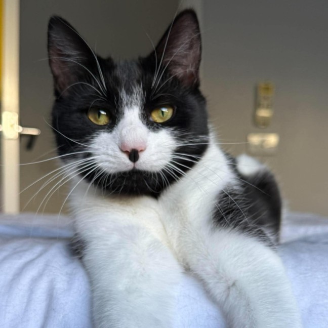 Photo of Dottie