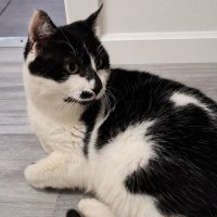 Photo of Hunter