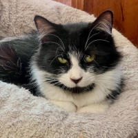 Photo of Nichaud & Paris