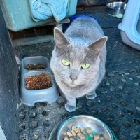 Photo of Maggie