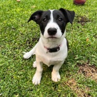 Photo of Venus & Mercury