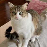 Photo of 🌷 Mia 🌷