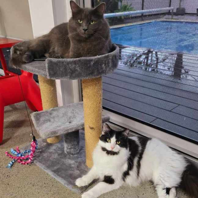 Photo of 🩵Todo & 🩷Georgia