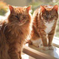 Photo of Finn & Percy