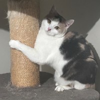 Photo of Xena ⚔️ 