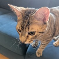 Photo of Sam Winchester