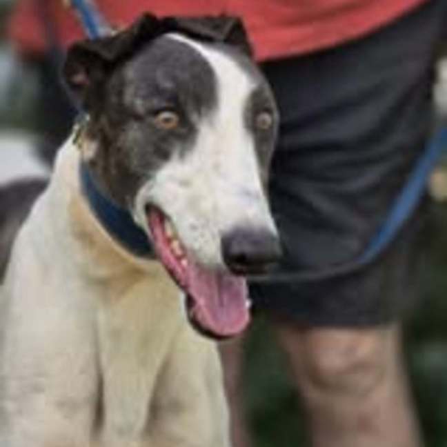 Photo of Deal Breaker