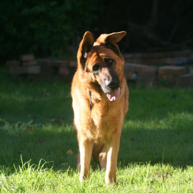 Photo of Roxy