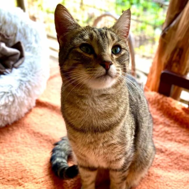 Photo of Robbie. Sweet Little Guy <3