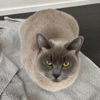 Photo of Millie