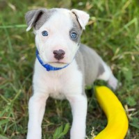 Photo of Leroy