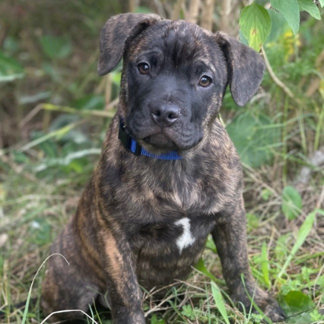 Photo of Reggie